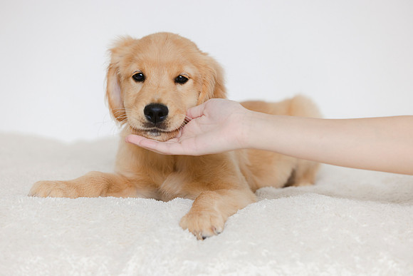 0H8A0056